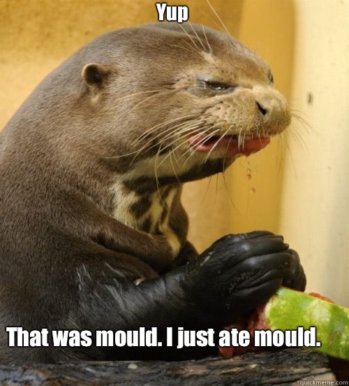 That was mould. I just ate mould. Yup  