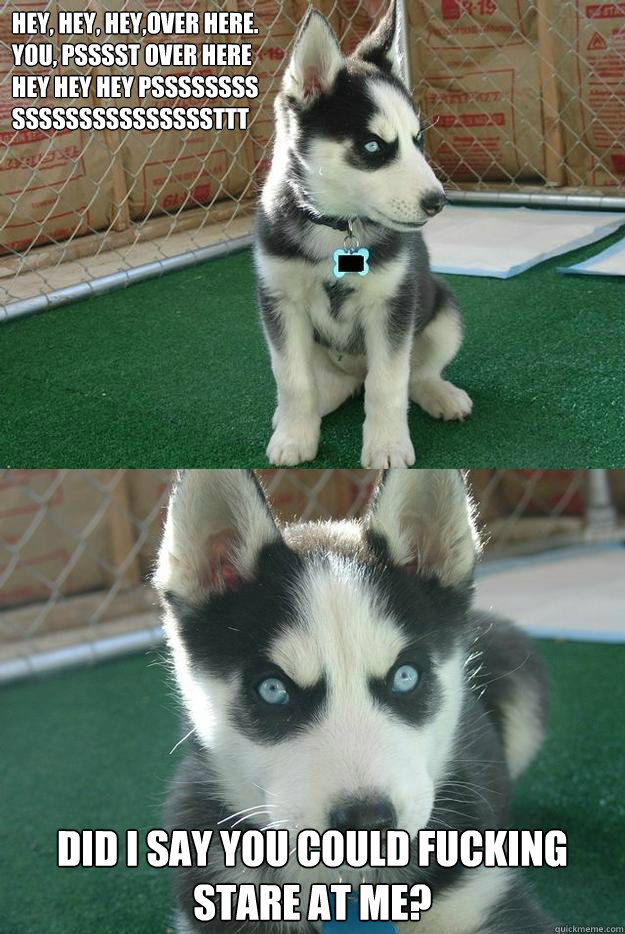 Hey, hey, hey,over here. 
You, psssst over here
hey hey hey pssssssss
sssssssssssssssttt Did i say you could fucking stare at me?  Insanity puppy
