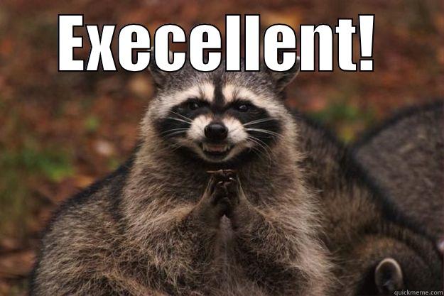 EXECELLENT!  Evil Plotting Raccoon