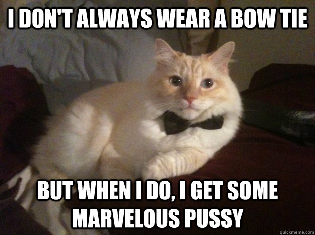 I don't always wear a bow tie But when I do, i get some marvelous pussy - I don't always wear a bow tie But when I do, i get some marvelous pussy  Mr. Kitty