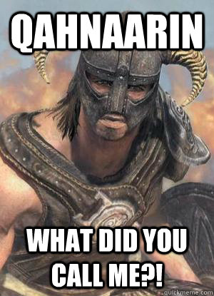 Qahnaarin What did you call me?!  Scumbag low lvl Dovahkiin