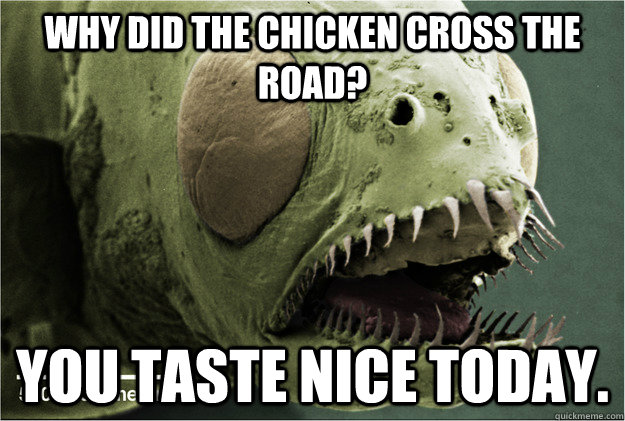 Why did the chicken cross the road? You taste nice today. - Why did the chicken cross the road? You taste nice today.  Misc