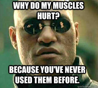 Why do my muscles hurt? because you've never used them before. - Why do my muscles hurt? because you've never used them before.  Matrix Morpheus