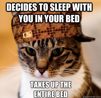 Decides to sleep with you in your bed takes up the entire bed  Scumbag Cat