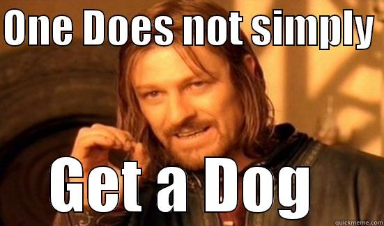 ONE DOES NOT SIMPLY  GET A DOG  Boromir