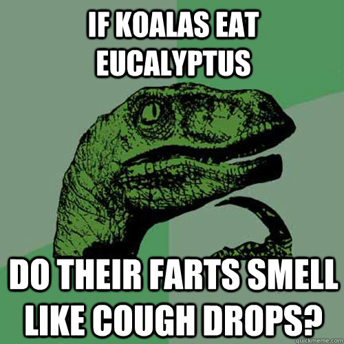 if koalas eat eucalyptus do their farts smell like cough drops? - if koalas eat eucalyptus do their farts smell like cough drops?  Philosoraptor
