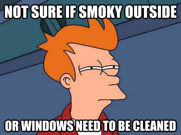 Not sure if smoky outside or windows need to be cleaned  Futurama Fry