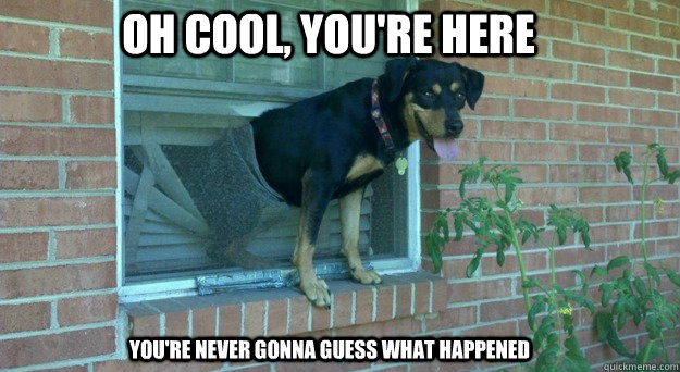 Oh cool, you're here you're never gonna guess what happened - Oh cool, you're here you're never gonna guess what happened  Misc