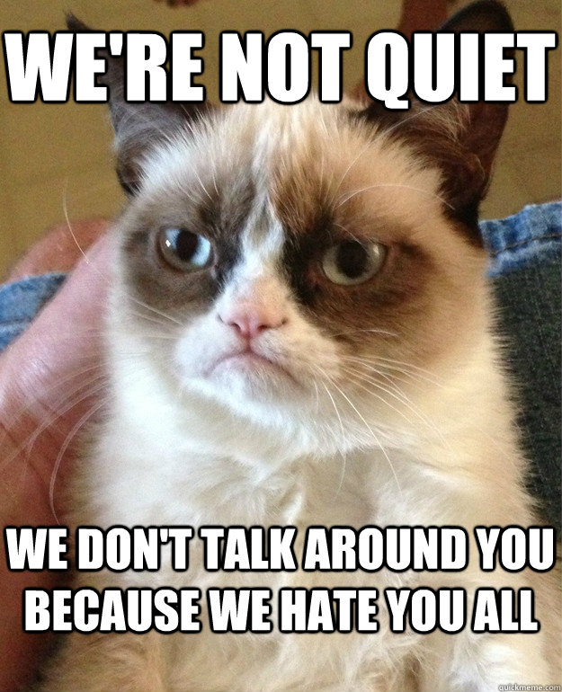 we're not quiet we don't talk around you because we hate you all  Grumpy Cat