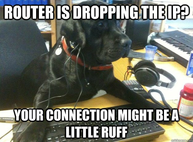 Router is dropping the IP? Your connection might be a little ruff  Tech Support Dog