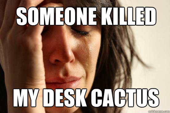someone killed my desk cactus  1st World Problems