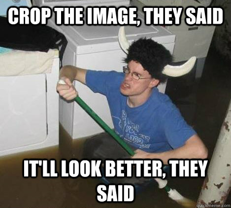 Crop the image, they said It'll look better, they said  They said