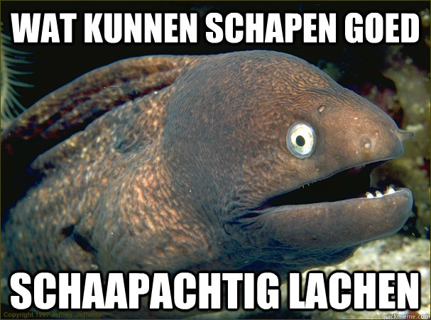 wat kunnen schapen goed schaapachtig lachen - wat kunnen schapen goed schaapachtig lachen  Bad Joke Eel