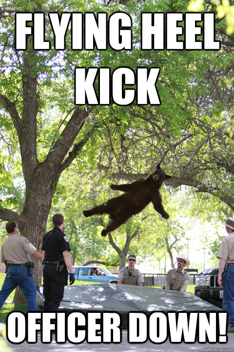 flying heel kick officer down!  Boulder Bear