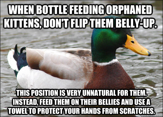 When bottle feeding orphaned kittens, don't flip them belly-up. this position is very unnatural for them. Instead, feed them on their bellies and use a towel to protect your hands from scratches.  Actual Advice Mallard