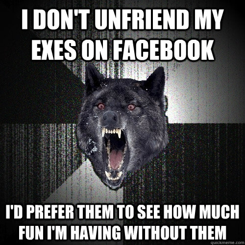 I don't unfriend my exes on Facebook I'd prefer them to see how much fun I'm having without them  Insanity Wolf