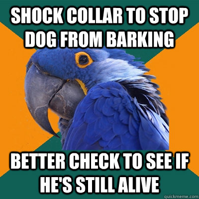 Shock collar to stop dog from barking better check to see if he's still alive  Paranoid Parrot