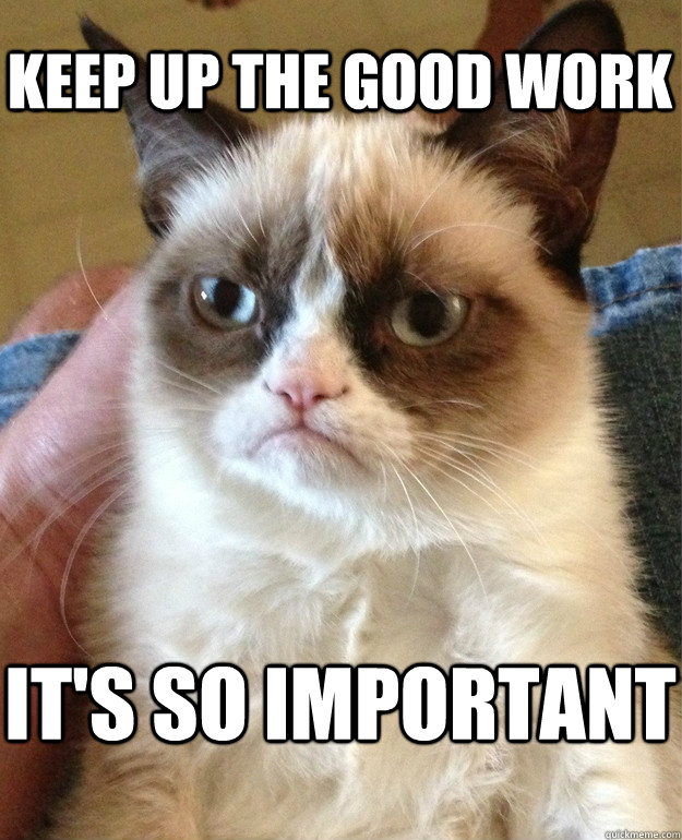 Keep up the good work it's so important  Grumpy Cat