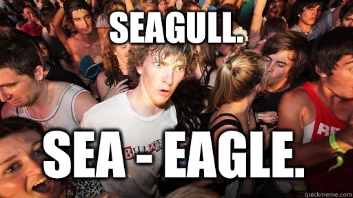 Seagull. Sea - eagle.  Sudden Clarity Clarence