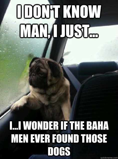 I don't know man, I just... I...I wonder if the baha men ever found those dogs - I don't know man, I just... I...I wonder if the baha men ever found those dogs  Introspective Pug
