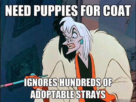 Need puppies for coat ignores hundreds of adoptable strays  Disney Logic