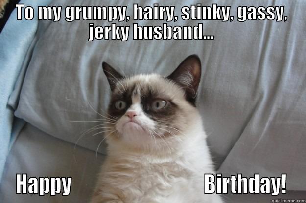 TO MY GRUMPY, HAIRY, STINKY, GASSY, JERKY HUSBAND... HAPPY                                  BIRTHDAY! Grumpy Cat