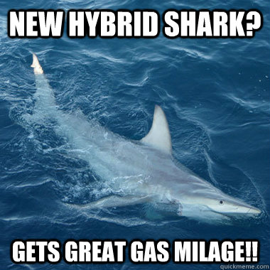 New hybrid shark? gets great gas milage!!  