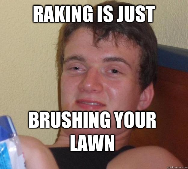 Raking is just Brushing your lawn  10 Guy