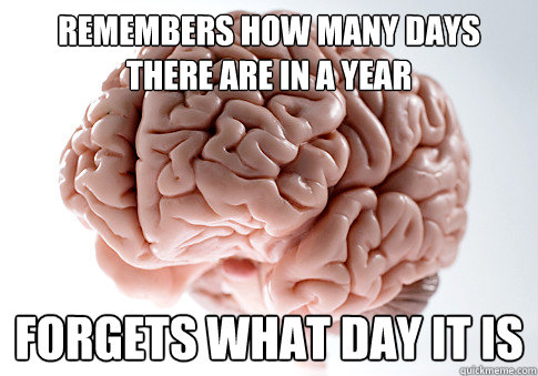 Remembers how many days there are in a year forgets what day it is  Scumbag Brain