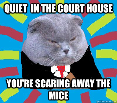 quiet  in the court house you're scaring away the mice  Judge Cat
