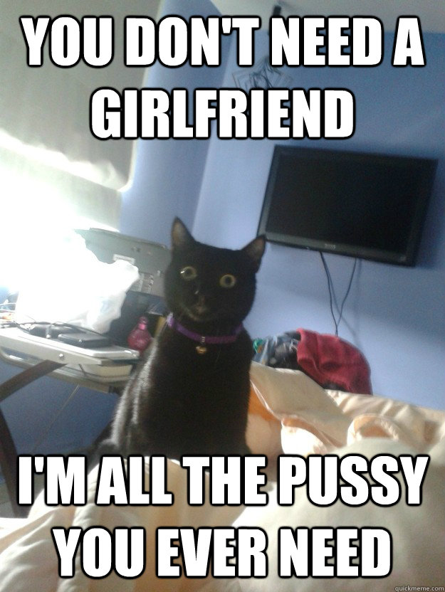 You don't need a girlfriend I'm all the pussy you ever need  overly attached cat