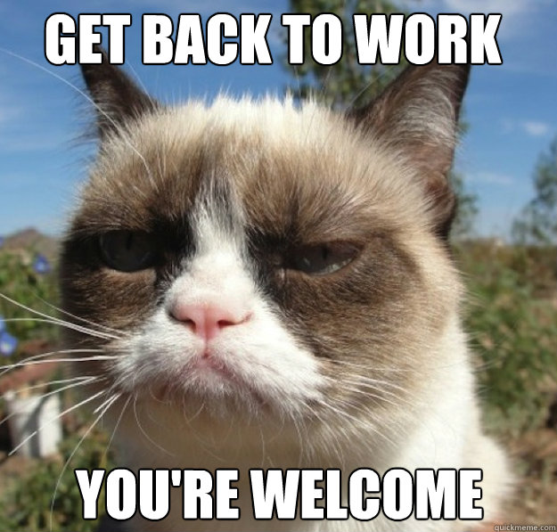 get back to work you're welcome - get back to work you're welcome  Misc