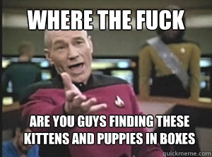 Where the fuck are you guys finding these Kittens and puppies in boxes  Annoyed Picard