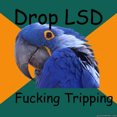 Drop LSD  Fucking Tripping  Paranoid Parrot