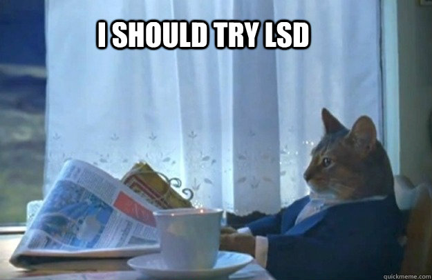 I should try LSD - I should try LSD  Sophisticated Cat