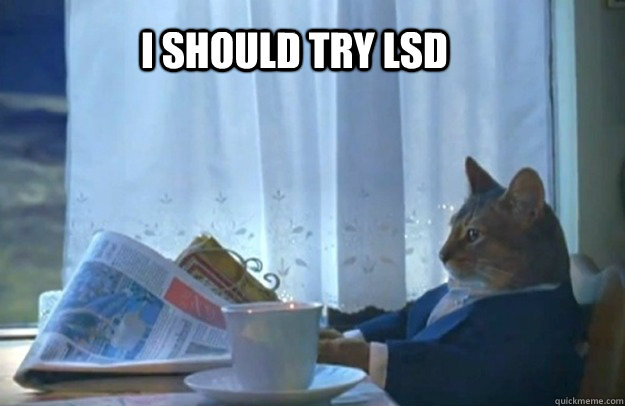 I should try LSD  Sophisticated Cat