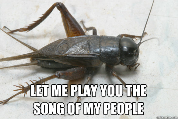  Let me play you the 
song of my people -  Let me play you the 
song of my people  BCS Cricket