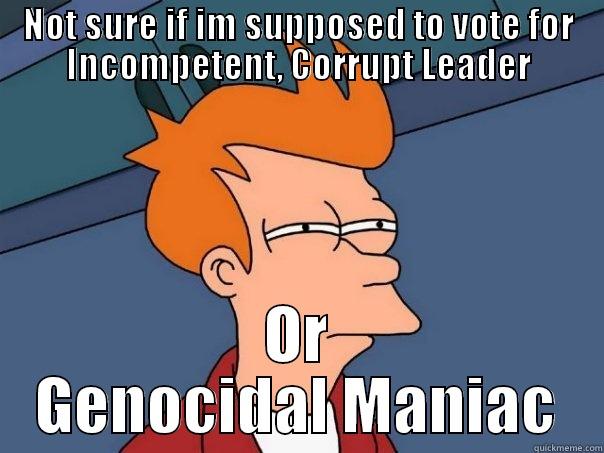 NOT SURE IF IM SUPPOSED TO VOTE FOR INCOMPETENT, CORRUPT LEADER OR GENOCIDAL MANIAC Futurama Fry