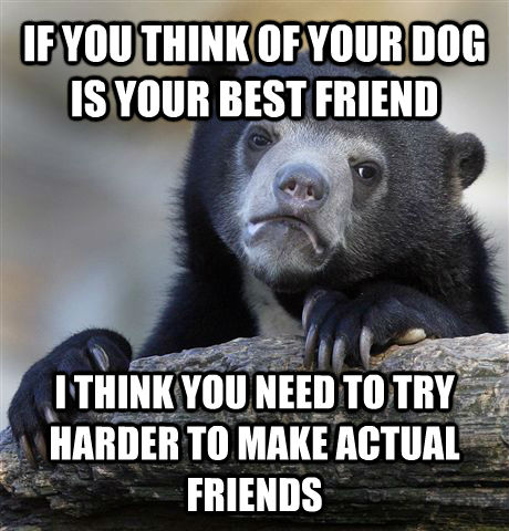 IF YOU THINK OF YOUR DOG IS YOUR BEST FRIEND I THINK YOU NEED TO TRY HARDER TO MAKE ACTUAL FRIENDS  Confession Bear