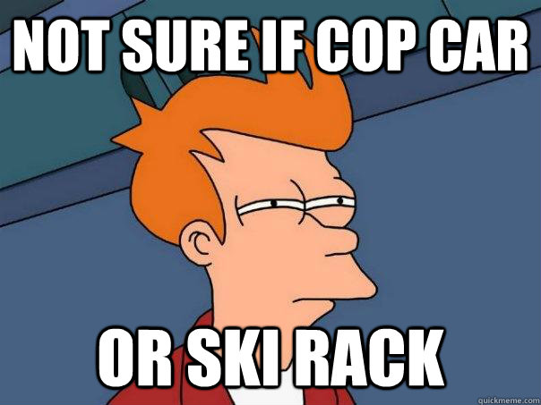 NOT SURE IF COP CAR OR SKI RACK - NOT SURE IF COP CAR OR SKI RACK  Futurama Fry