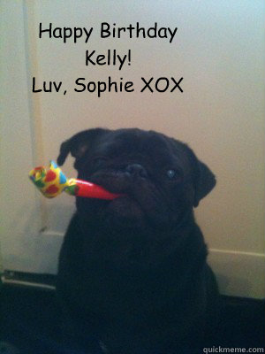 Happy Birthday
Kelly!
Luv, Sophie XOX  