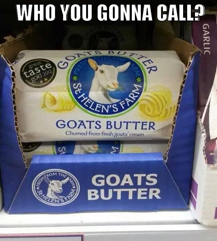     WHO YOU GONNA CALL?     Misc