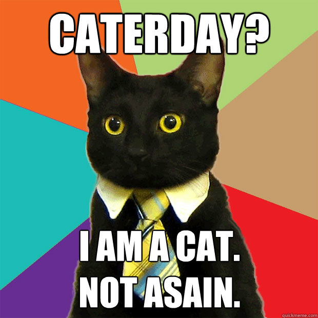 caterday? i am a cat.
Not asain.  Business Cat