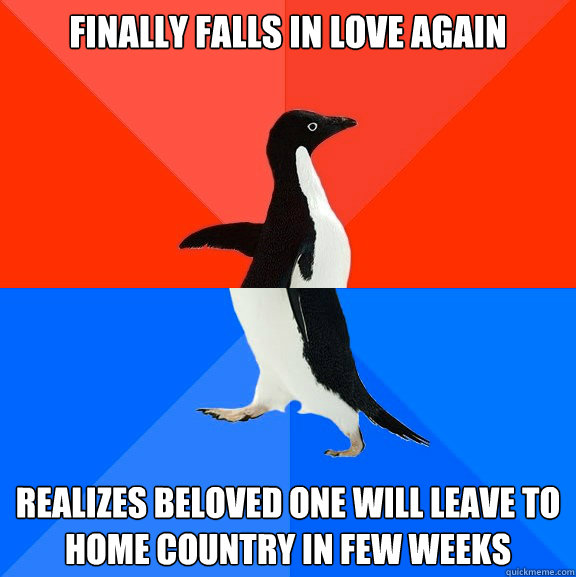 Finally falls in love again Realizes beloved one will leave to home country in few weeks  Socially Awesome Awkward Penguin