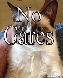NO ONE CARES Misc