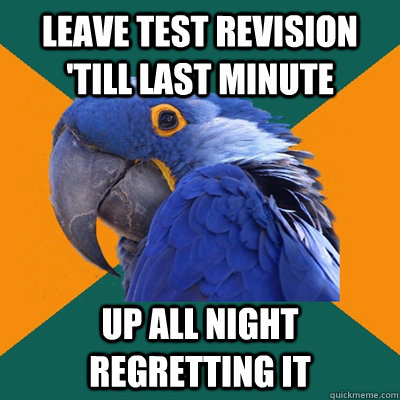 Leave test revision 'till last minute UP ALL NIGHT REGRETTING IT  Paranoid Parrot