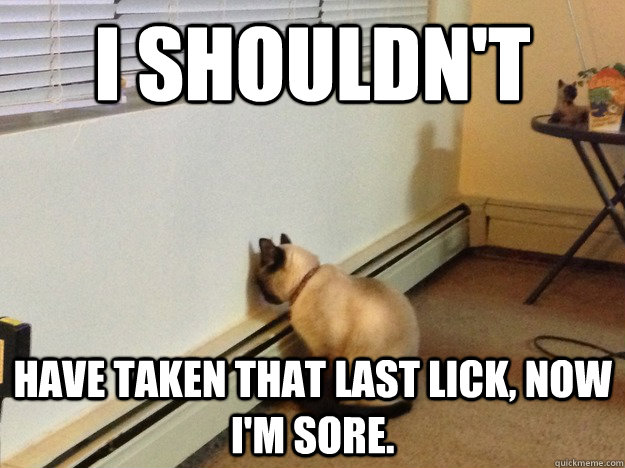 I shouldn't have taken that last lick, now I'm sore. - I shouldn't have taken that last lick, now I'm sore.  Regretful Cat