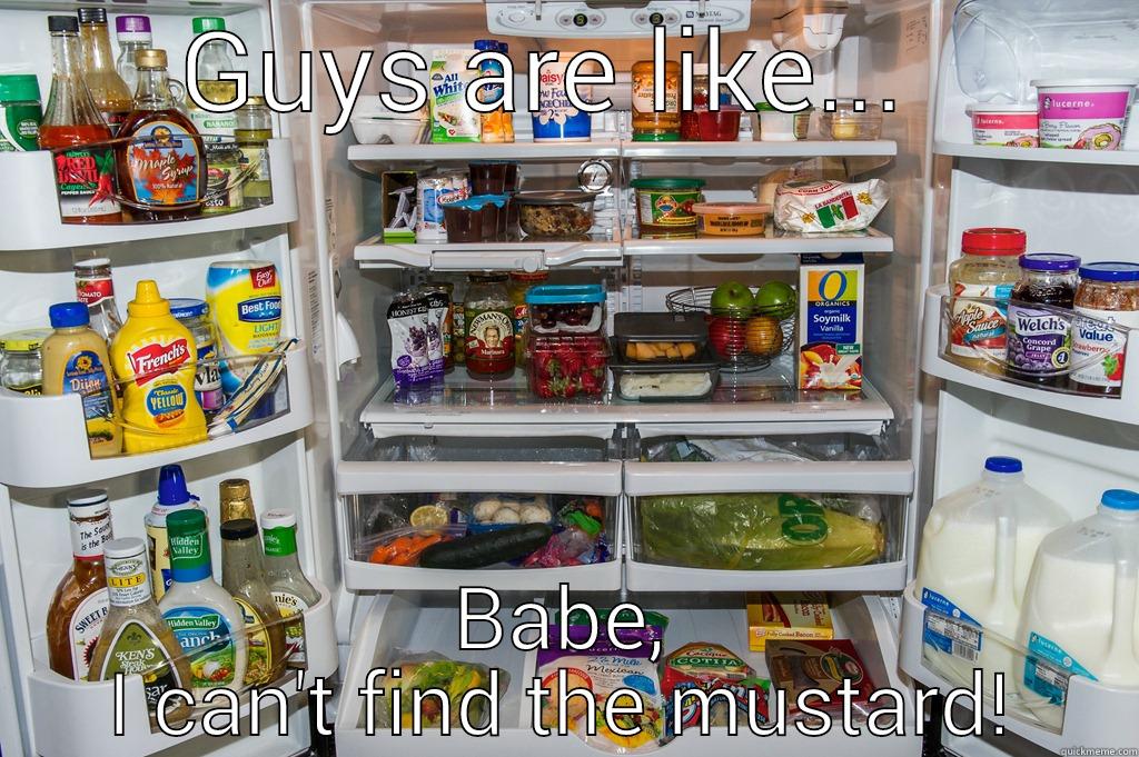 Dudes and the fridge! Part 1 - GUYS ARE LIKE...  BABE, I CAN'T FIND THE MUSTARD! Misc