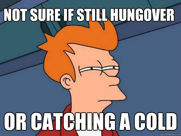 Not sure if still hungover Or catching a cold  Futurama Fry
