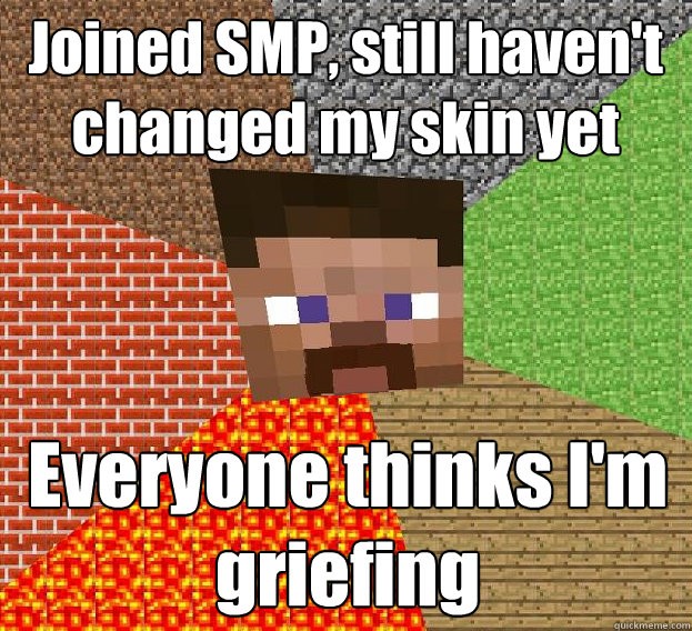 Joined SMP, still haven't changed my skin yet Everyone thinks I'm griefing  Sad minecraft